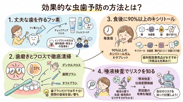 効果的な虫歯予防の方法とは？の図解