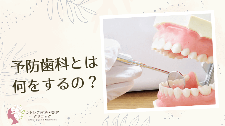 予防歯科とは何をするの？
