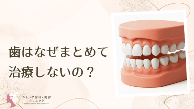 歯はなぜまとめて治療しないの?