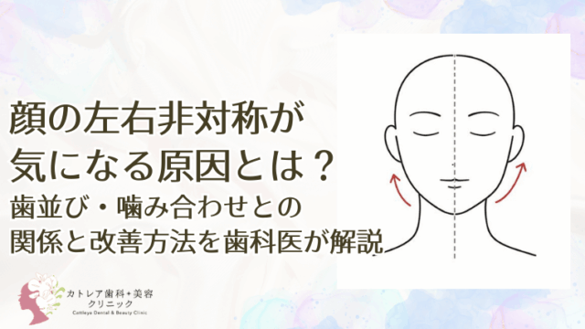 顔の左右非対称が気になる原因とは？歯並び・噛み合わせとの関係と改善方法を歯科医が解説