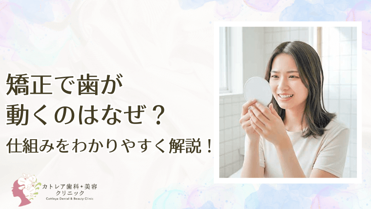 矯正で歯が動くのはなぜ？仕組みをわかりやすく解説！